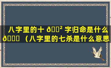 八字里的十 🌲 字归命是什么 🐈 （八字里的七杀是什么意思）